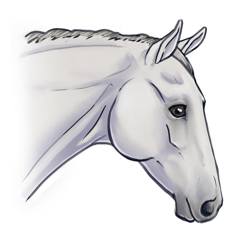 Free membership - create a free pain expression mapping!