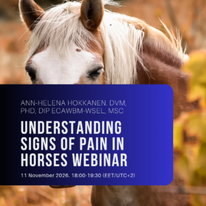 Understanding signs of pain in horses